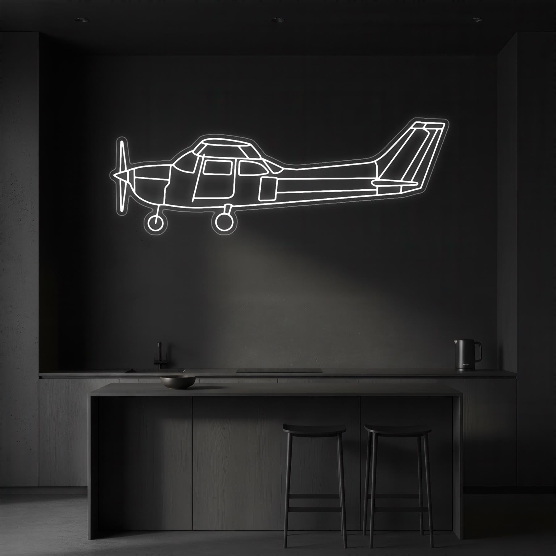 Skyhawk 172 Neon Silhouette