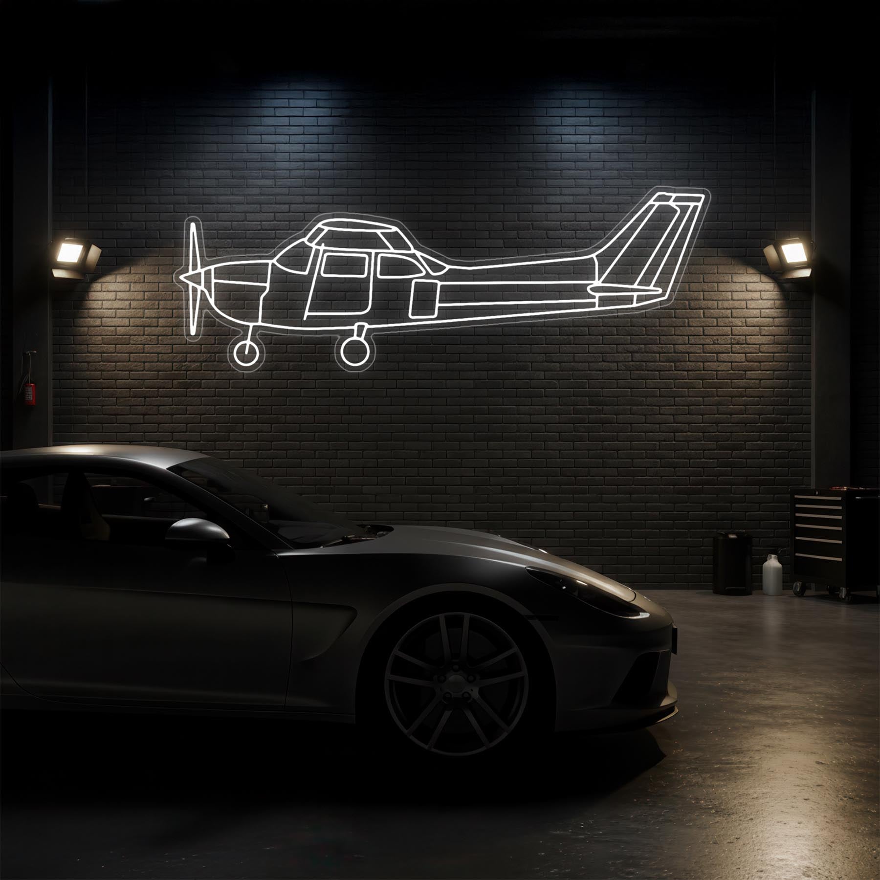 Skyhawk 172 Neon Silhouette