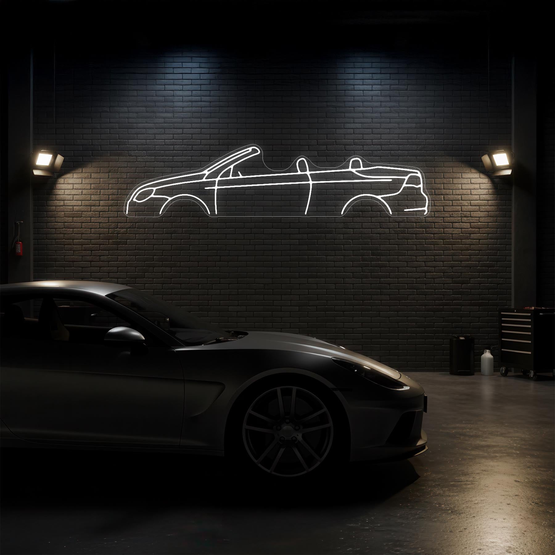 Eos 2009 Neon Silhouette