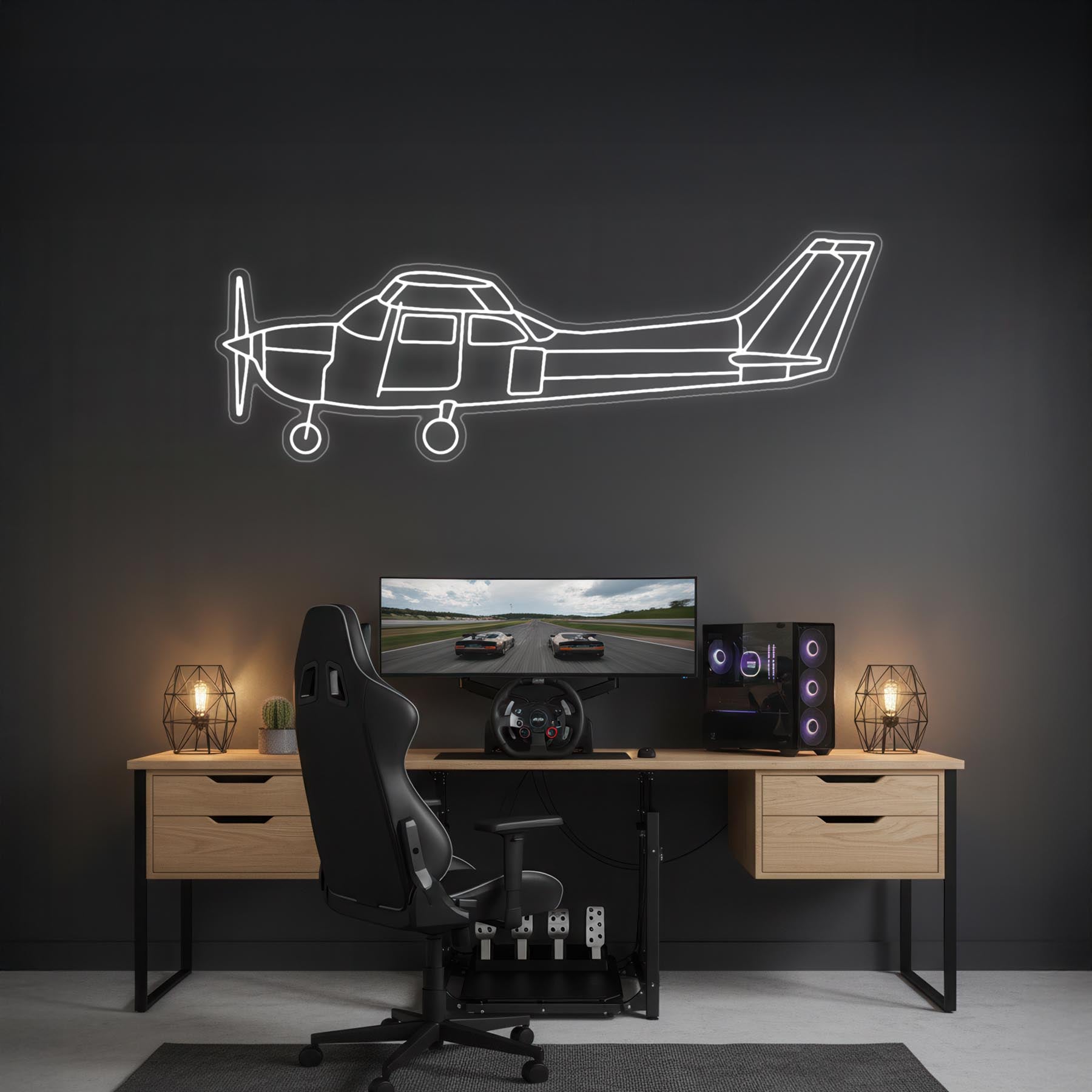 Skyhawk 172 Neon Silhouette